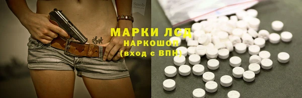 прущие грибы Нея
