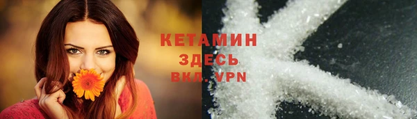 прущие грибы Нея