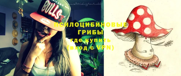 прущие грибы Нея