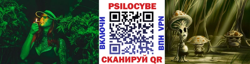Галлюциногенные грибы Cubensis Колпашево