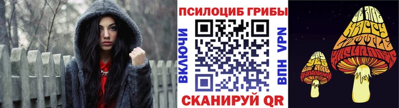кракен ONION  Колпашево  мориарти Telegram  Псилоцибиновые грибы Psilocybine cubensis 