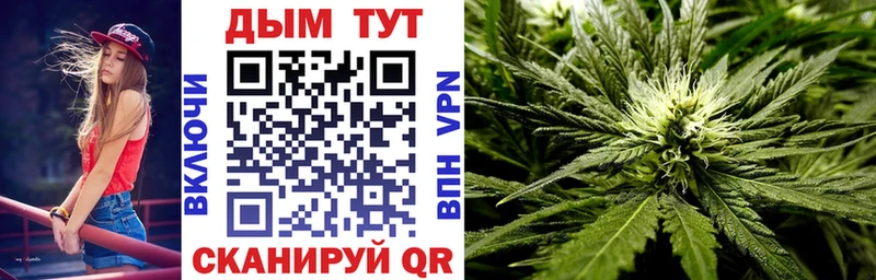 omg   Колпашево  Шишки марихуана MAZAR  купить закладку 